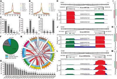 The Construction and Exploration of a Comprehensive MicroRNA Centered Regulatory Network in Foxtail Millet (Setaria italica L.)